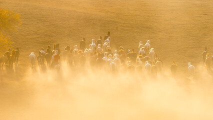 Horses Running Down the Hill