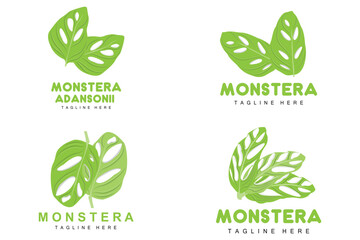Monstera adansonii Leaf Logo, Green Plant Vector, Tree Vector, Rare Leaf Illustration
