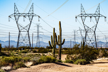 Power line transmission towers surround the saguaros in the desert in Scottsdale