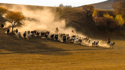 Fototapeta na wymiar Horses Running Down the Hill