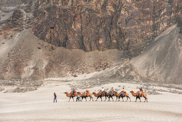Camel riding service for tourist in landscape at sand dune in Nubra valley, Leh Ladakh, india.