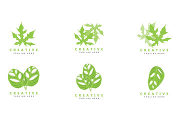 Monstera adansonii Leaf Logo, Green Plant Vector, Tree Vector, Rare Leaf Illustration