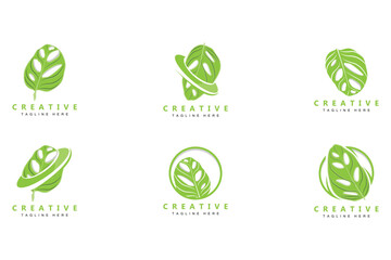 Monstera adansonii Leaf Logo, Green Plant Vector, Tree Vector, Rare Leaf Illustration