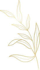 Wedding leaf branch gold line art - obrazy, fototapety, plakaty