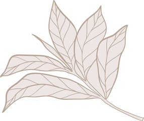 Luxury wedding leaf branch