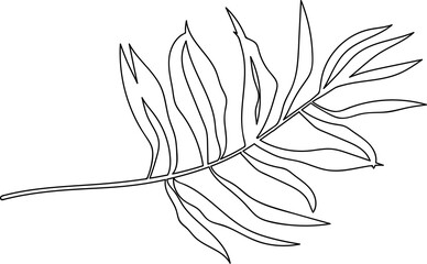 Fototapeta na wymiar Tropical leaf line art