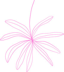 Colorful tropical leaf