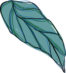 Colorful tropical leaf