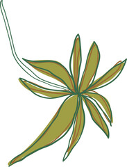 Colorful tropical leaf