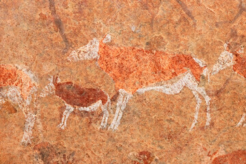 Bushmen rock painting of African antelopes, Brandberg mountain, Namibia.