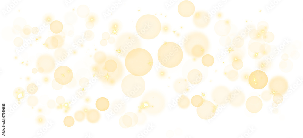 Canvas Prints sun particles sparks with lens flare effect on transparent background