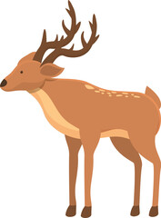 Stag animal icon cartoon vector. Deer forest. Wild baby