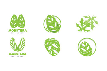 Monstera adansonii Leaf Logo, Green Plant Vector, Tree Vector, Rare Leaf Illustration