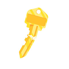 Broken key icon.