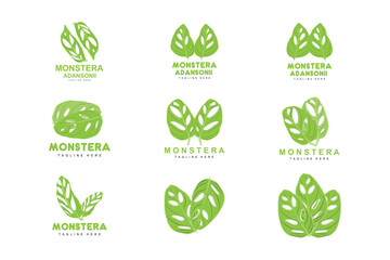 Monstera adansonii Leaf Logo, Green Plant Vector, Tree Vector, Rare Leaf Illustration
