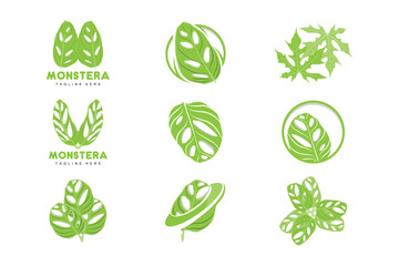 Monstera adansonii Leaf Logo, Green Plant Vector, Tree Vector, Rare Leaf Illustration