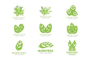 Monstera adansonii Leaf Logo, Green Plant Vector, Tree Vector, Rare Leaf Illustration