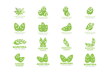 Monstera adansonii Leaf Logo, Green Plant Vector, Tree Vector, Rare Leaf Illustration
