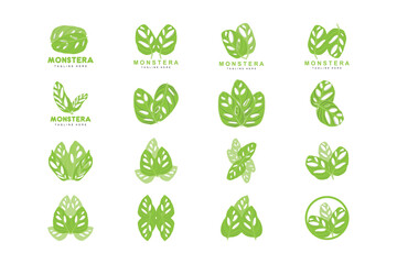 Monstera adansonii Leaf Logo, Green Plant Vector, Tree Vector, Rare Leaf Illustration