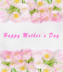 Fototapeta na wymiar Happy Mother's Day text on greeting card. Pink Tulips in raw on white Background