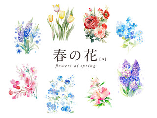 春の花の水彩イラスト8種Aセット／AI画像（チューリップ・桜・ツツジなど）