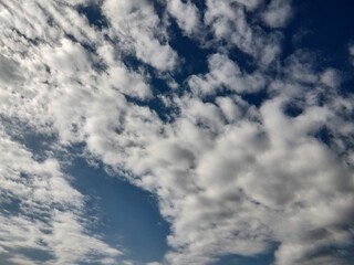 Obraz premium 東京のそら(23.2.20)