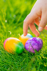 Easter Egg Hunt.Finding eggs in the grass.Childrens hands collect bright eggs in the green grass.Easter holiday tradition.Spring religious holiday.Easter food.