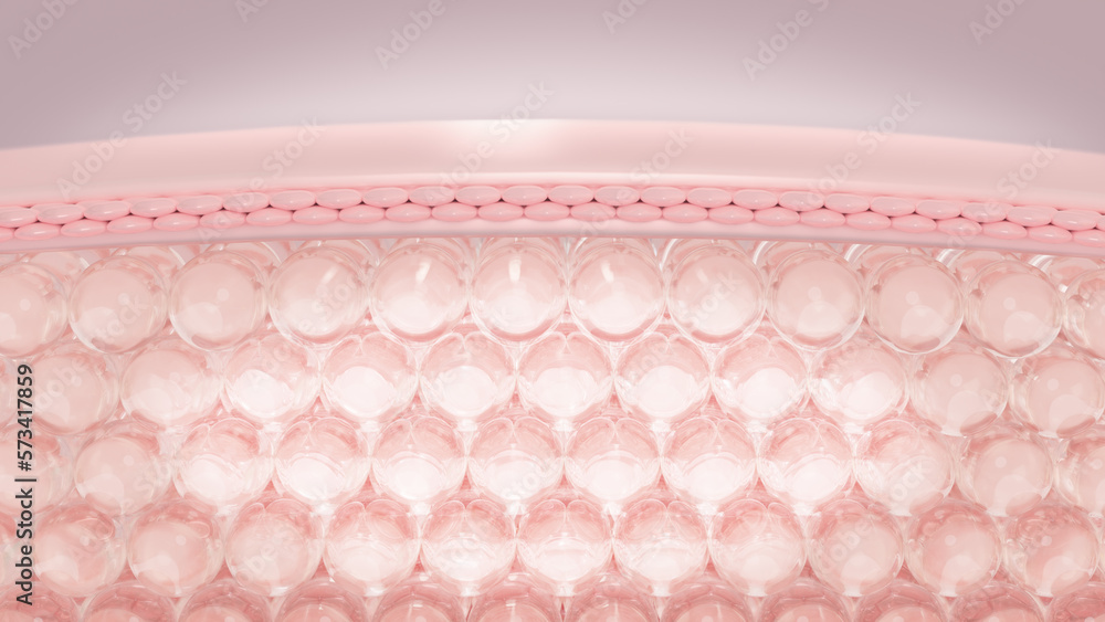 Fototapete 3d rendering layers of the skin's microstructure. the conception of cosmetics.