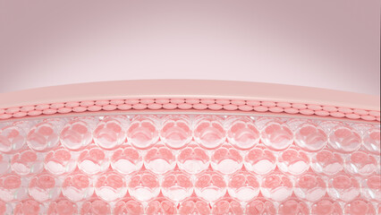 3D rendering Layer of skin structure microstructure. Skin cell sagging is reduced by serum through the skin.