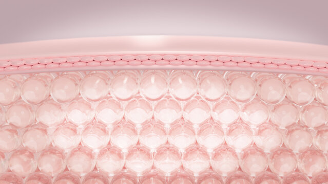 3D rendering layers of the skin's microstructure. the conception of cosmetics.