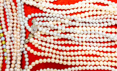 Natural sea pearls. A bunch of pearls on a red background, pearl strands close-up.