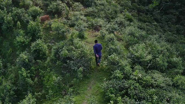 Lonely traveler embarks on a hilltop trek in Khadimnagar, feeling sadness. Seeking solace in the beauty of nature.