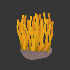 fictional species of fungus that has mutated and become capable of infecting humans and other animals, turning them into aggressive, zombie-like creatures.