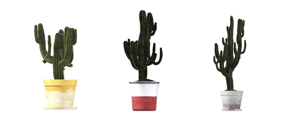 decorative flowers and plants for the interior, isolated on transparent background, 3D illustration, cg render