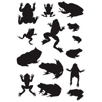 VARIETY OF FROGS SILHOUETTE