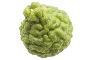 kaffir lime herbal vegetation local flora of asia arrangement flat lay style 