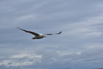 Circling the coast of Hokkaido