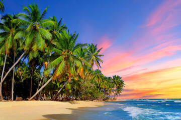 Beach with coconut tree at sunset