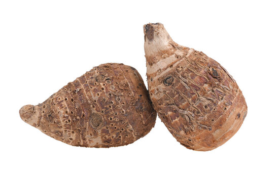 taro root isolated on transparent png