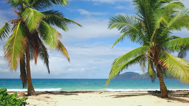 Caribbean sea and coconut palms against a blue sky with big white clouds. Seascape view from the beach. Vacation and vacation concept. Vacation holidays on sunny tropical coast. Cruise.