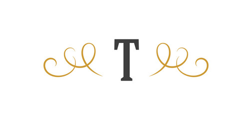 Vintage ornament swirl text separator calligraphic filigree vector illustration. Classical flourishes divider element for text decoration.