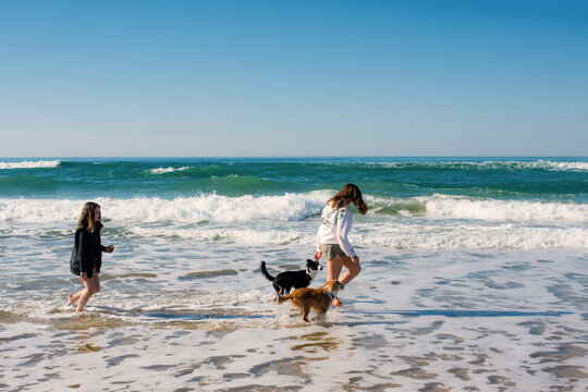 Two young girls walking and playing on the Oceanic beaches of Aquitaine with their Puppys
