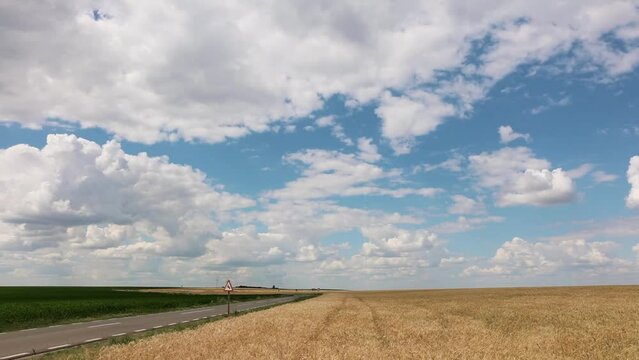 Panoramic View Of Wheat Fields Under Beautiful Cloudscape Sky On A Sunny Day. Wide Shot