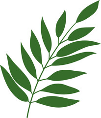 Colorful tropical leaf