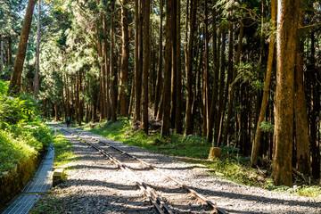 The old forest railway section of the Shuishan Trail at Alishan Forest Recreation Area in Chiayi, Taiwan. Now obsolete and unable to operate.