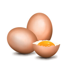 Drawing of eggs on a white background, illustration