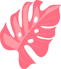 Colorful tropical leaf