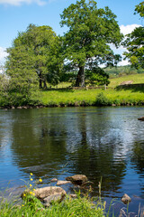 A sunny summer's day, with blue skies over River North Tyne at Chesters in Northumberland, UK