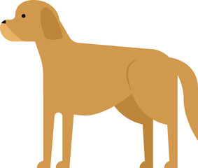 Flat Illustration Animal Element