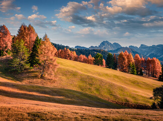 Spectacular autumn view of Alpe di Siusi mountain plateau. Impressive morning scene of Dolomite Alps, Ortisei locattion, Italy. Traveling concept background.